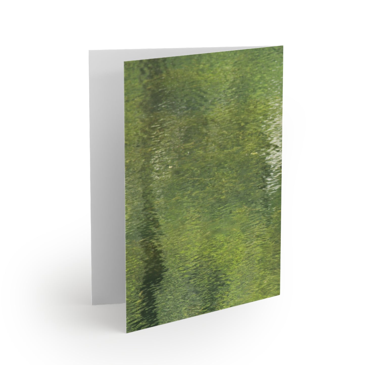 NN Greeting cards 8 pcs Trees Reflections