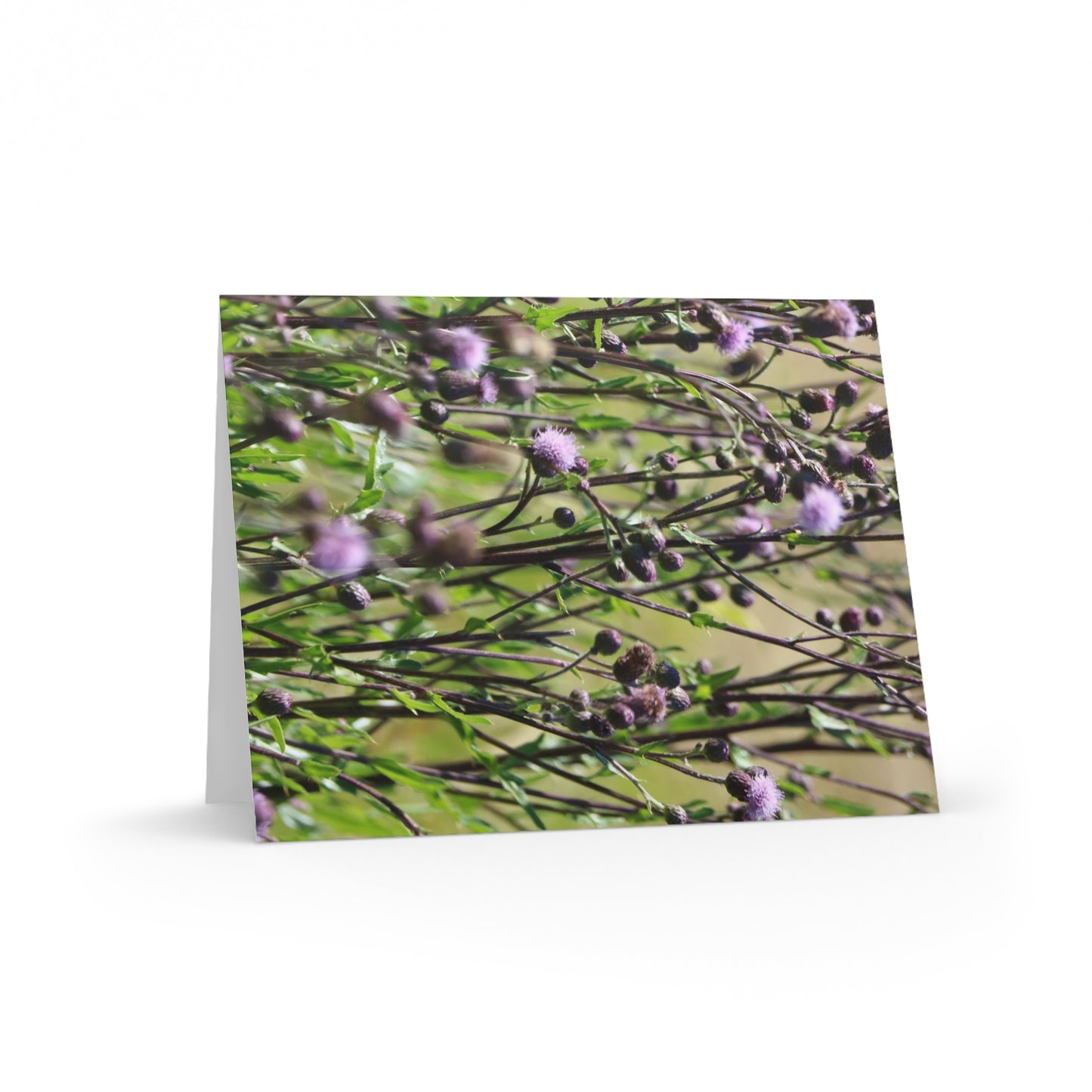 NN Greeting cards 8 pcs Purple Fluff Flowers