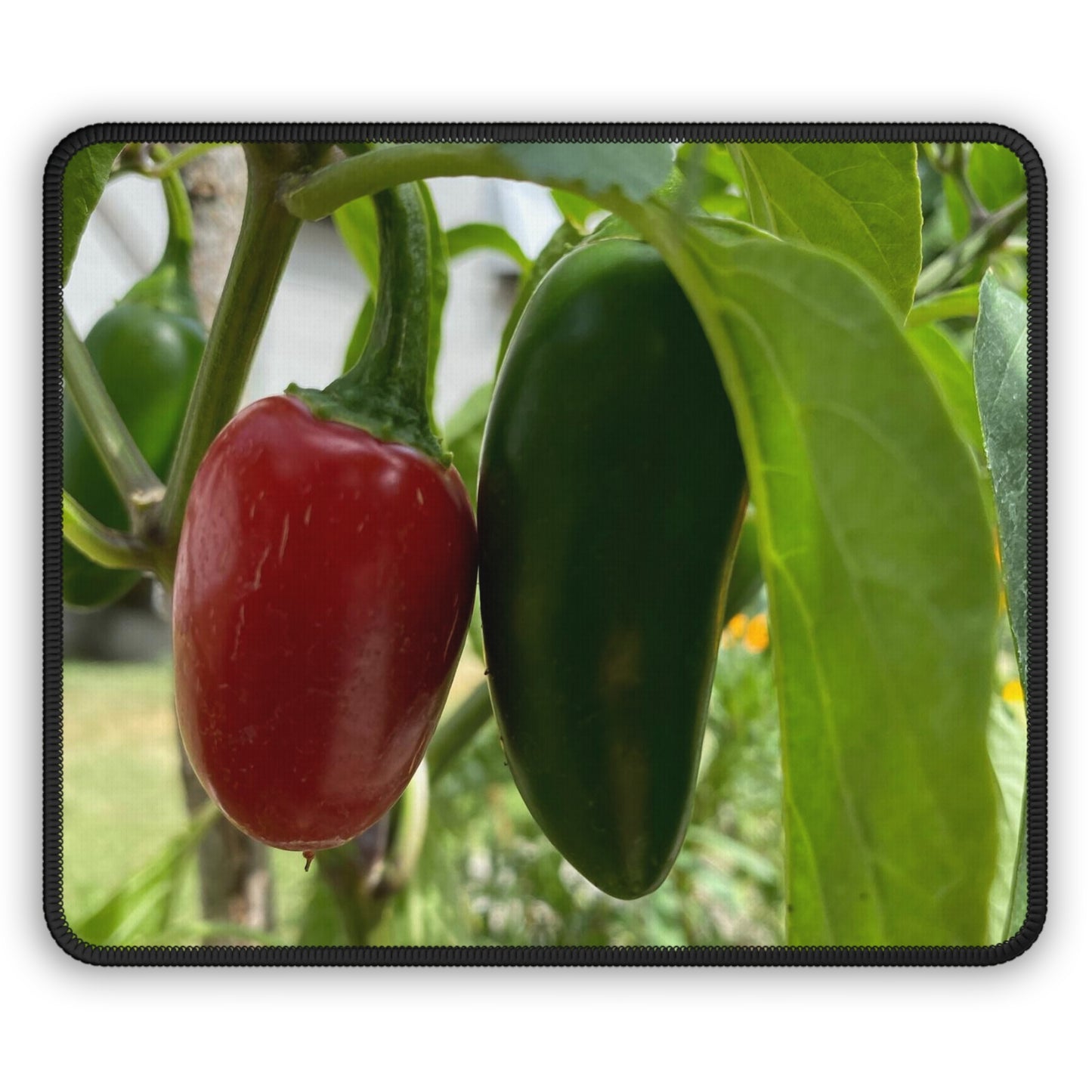 NN Gaming Mouse Pad Jalapeno Peppers