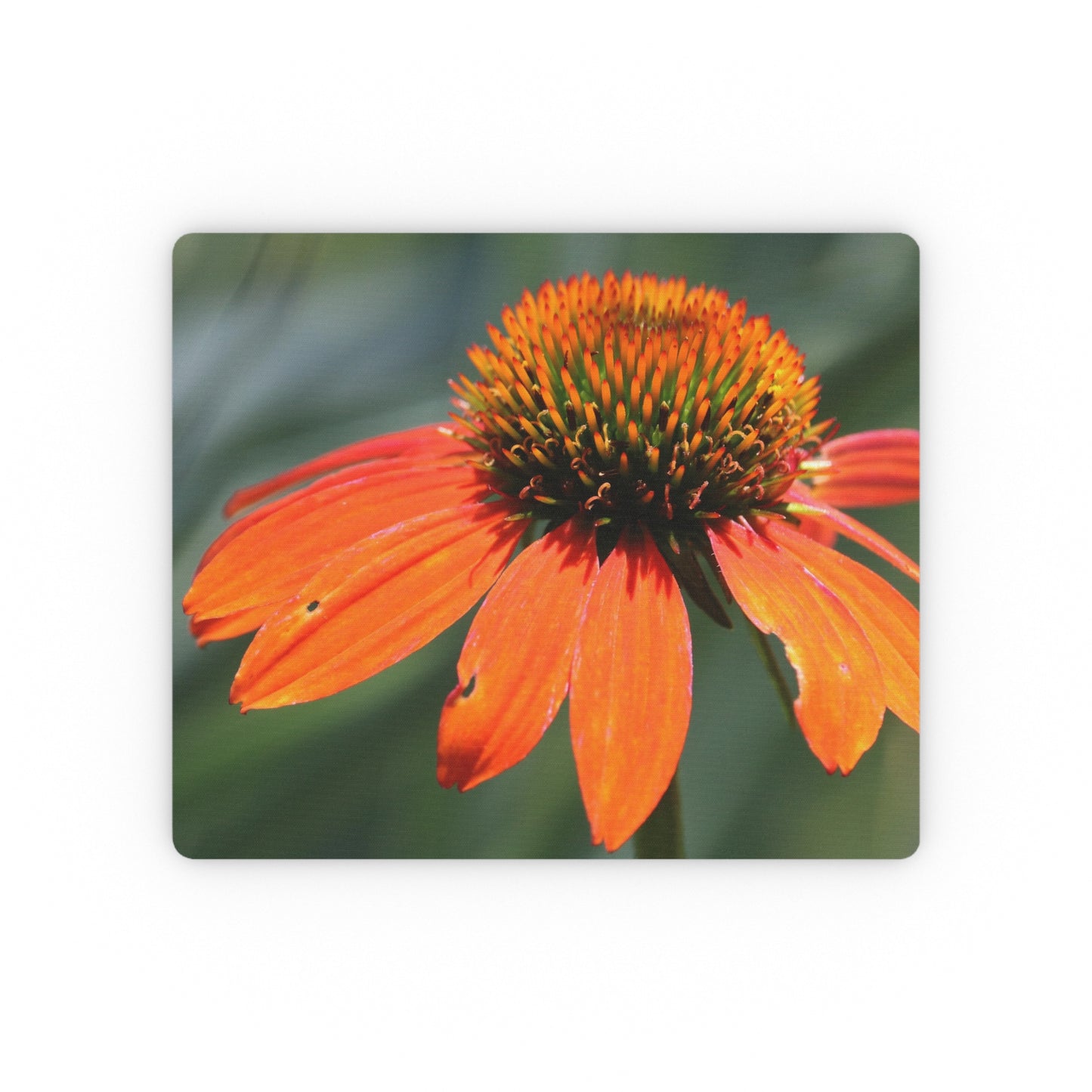 NN Rectangular Mouse Pad Orange Petal Flower