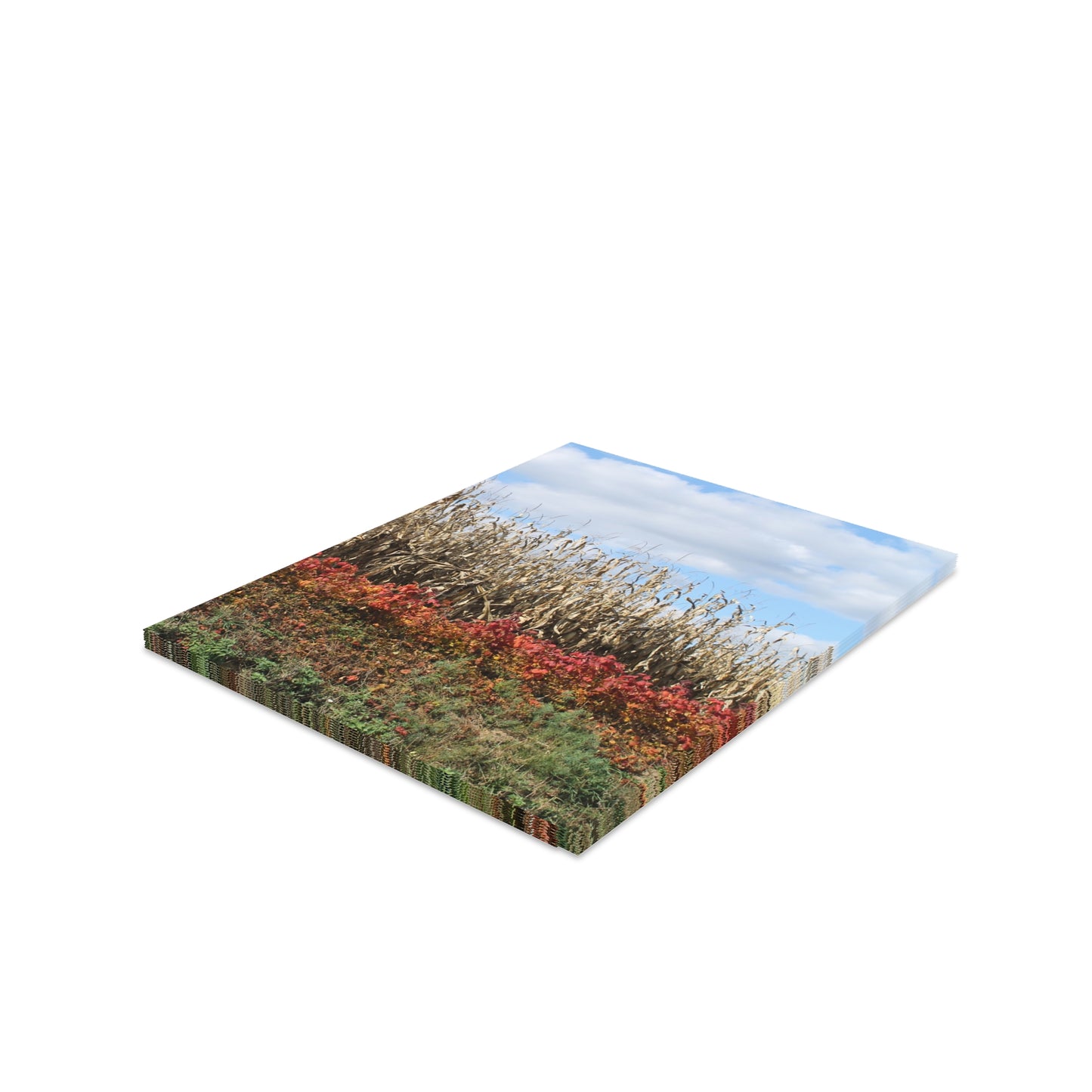 NN Greeting cards 8 pcs (S) Rainbow Farm
