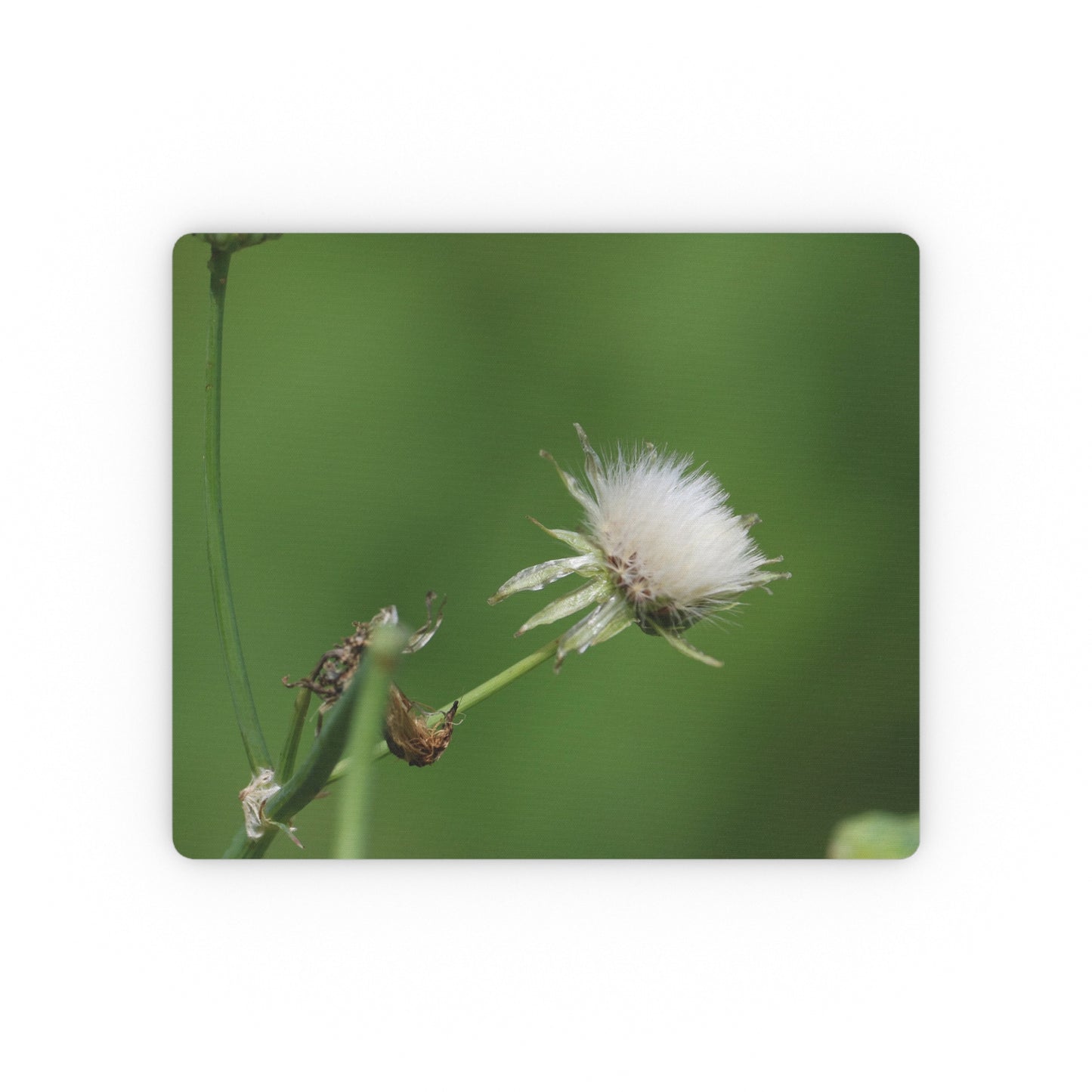 NN Rectangular Mouse Pad Dandelion Leans (R)