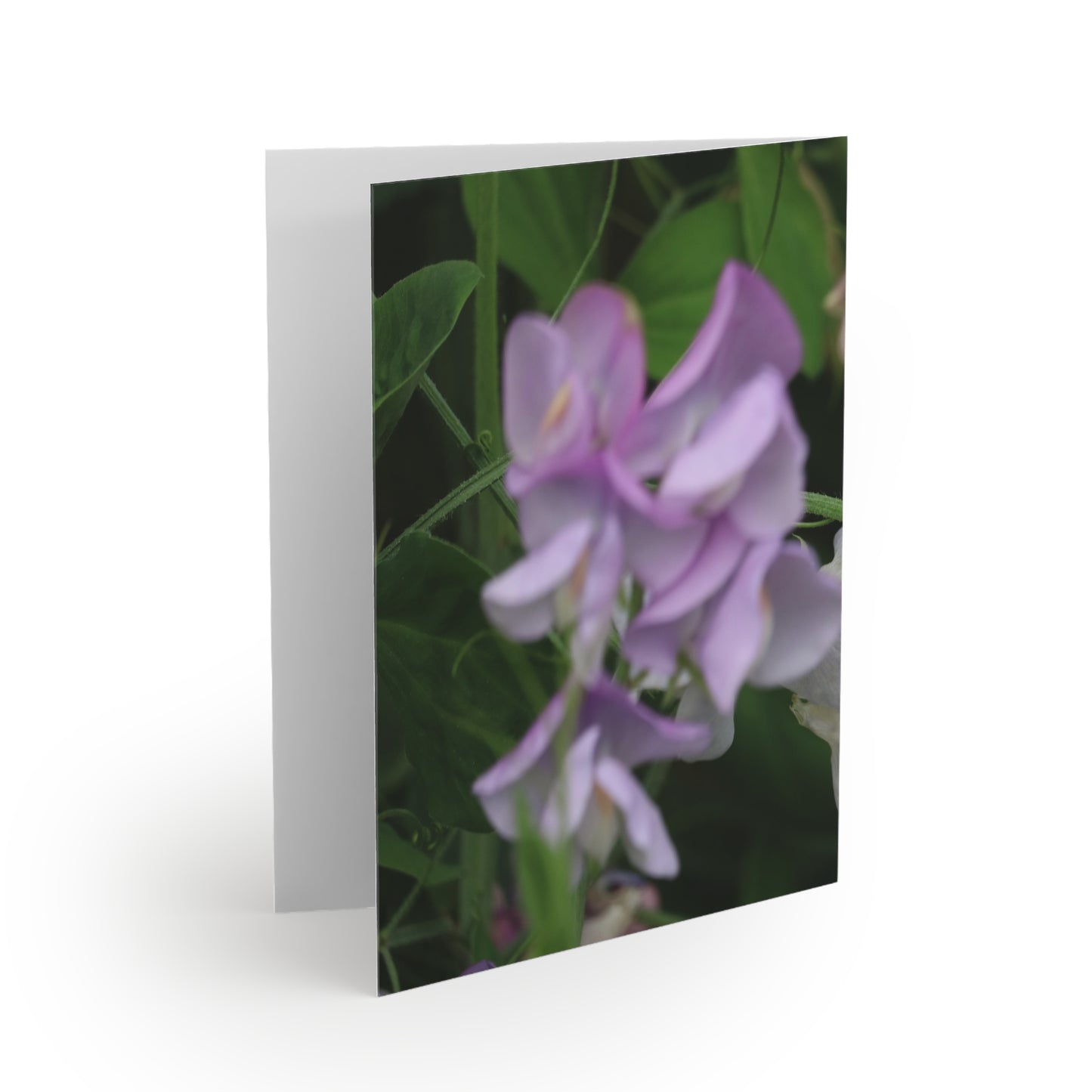 NN Greeting cards 8 pcs Pale Pinks & Lavenders