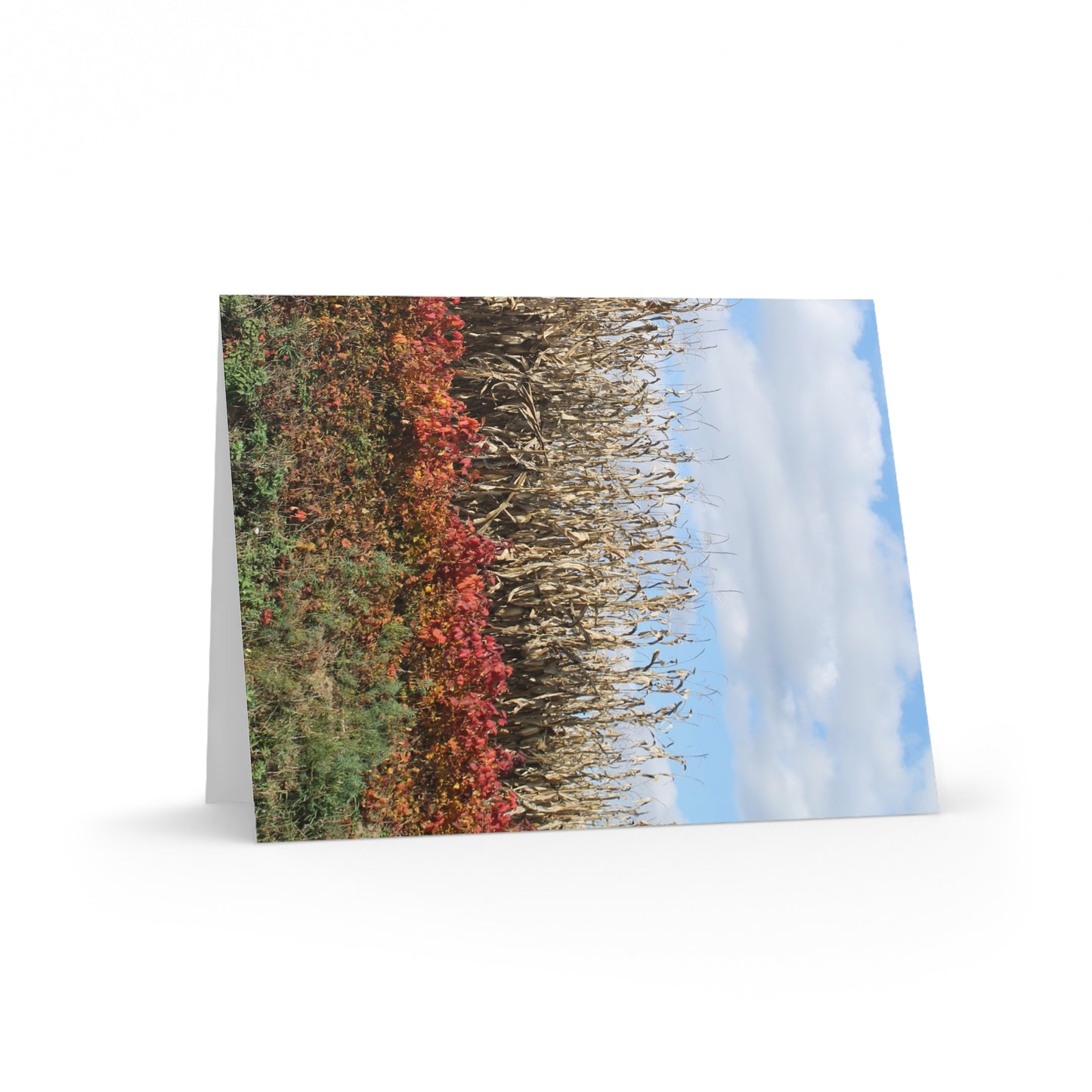 NN Greeting cards 8 pcs (S) Rainbow Farm