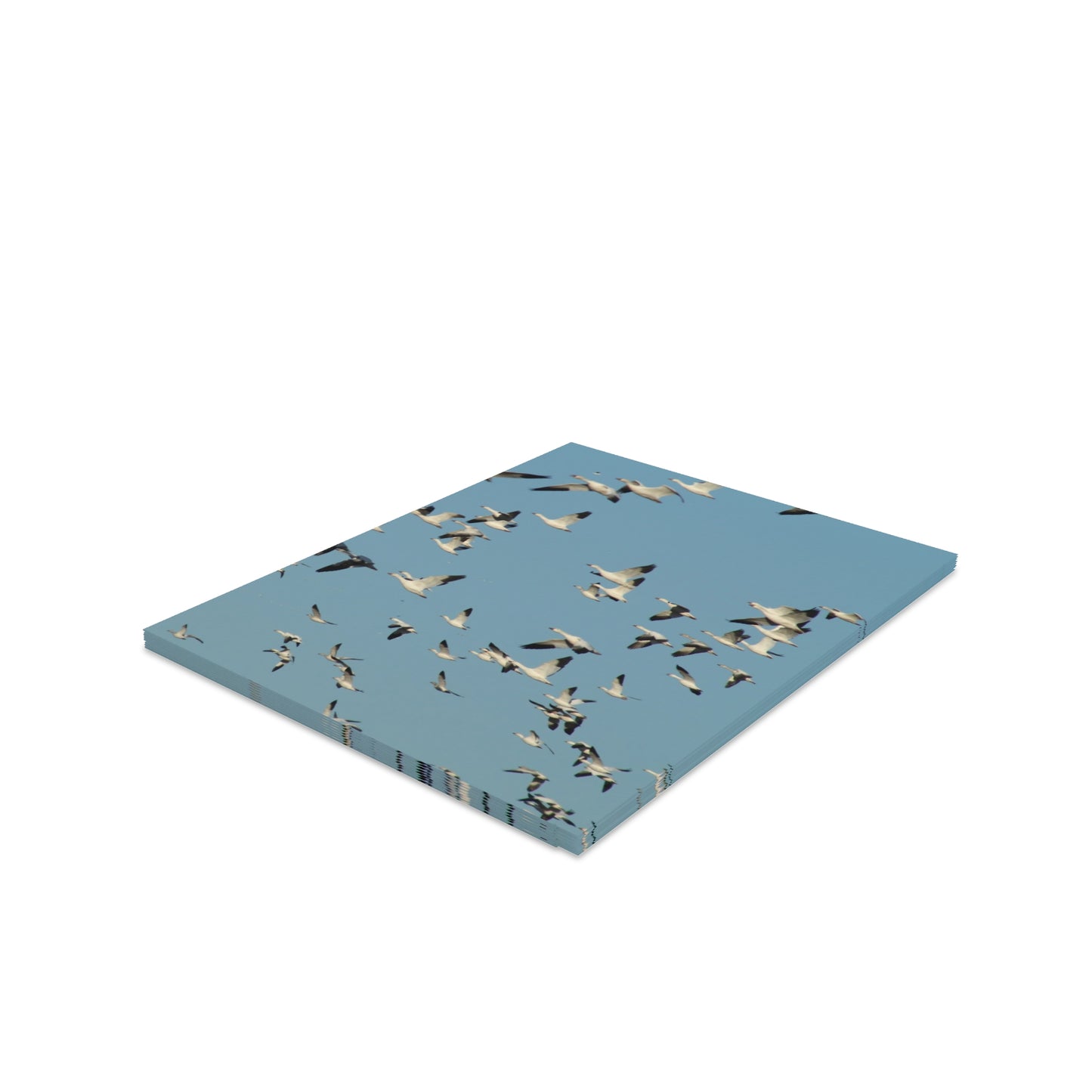 NN Greeting cards 8 pcs Flocks Of Snow Geese