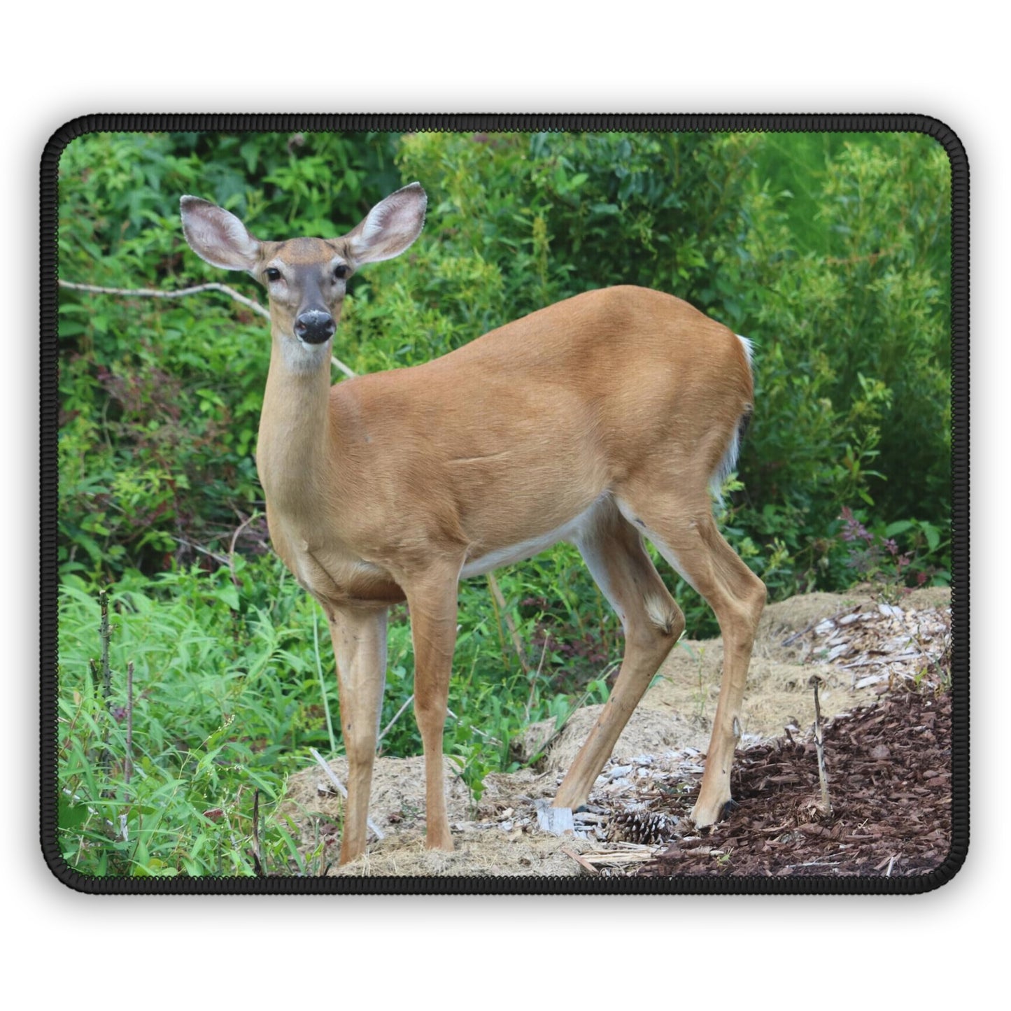 NN Gaming Mouse Pad Big Old Doe