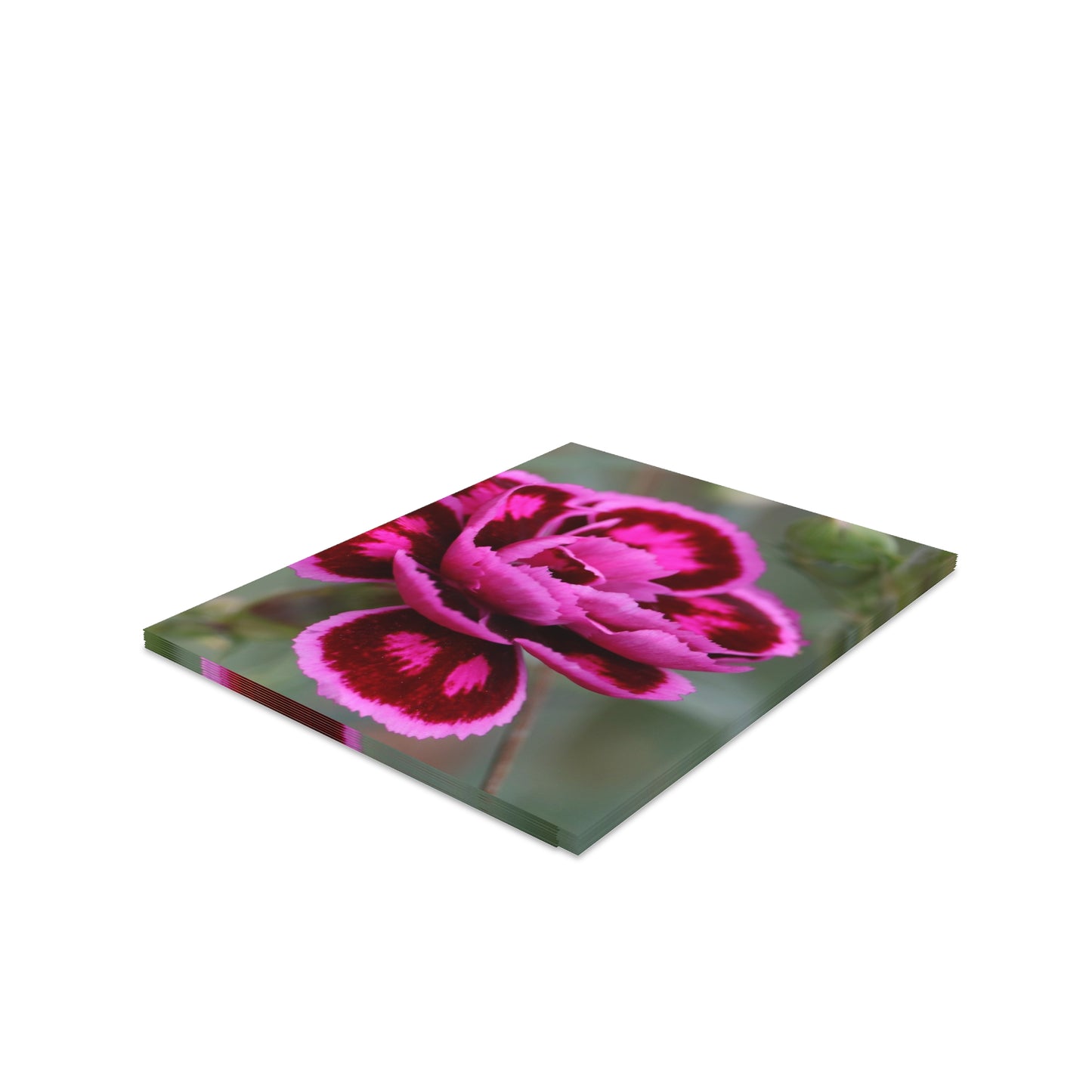 NN Greeting cards 8 pcs 2 Hot Pinks