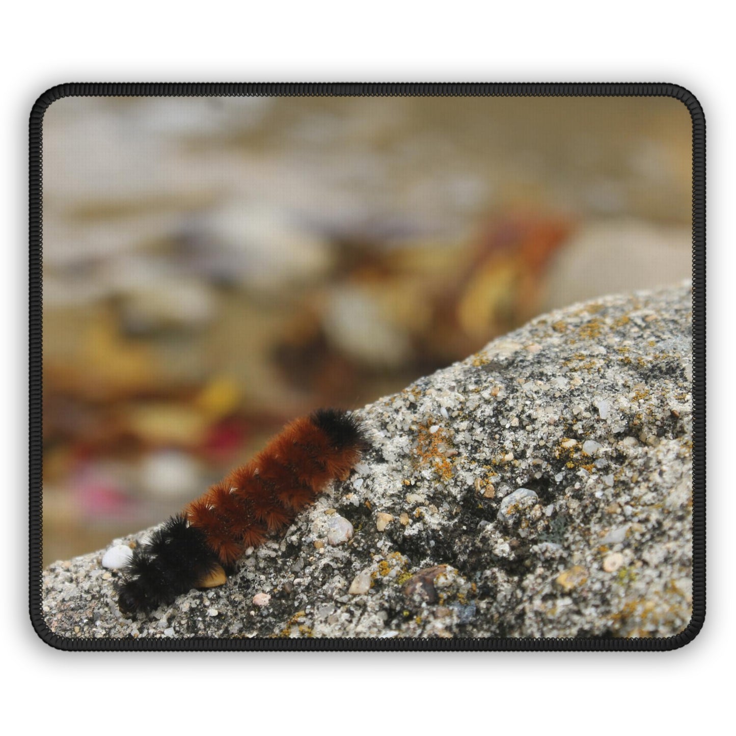 NN Gaming Mouse Pad Caterpillar On A Rock (H)