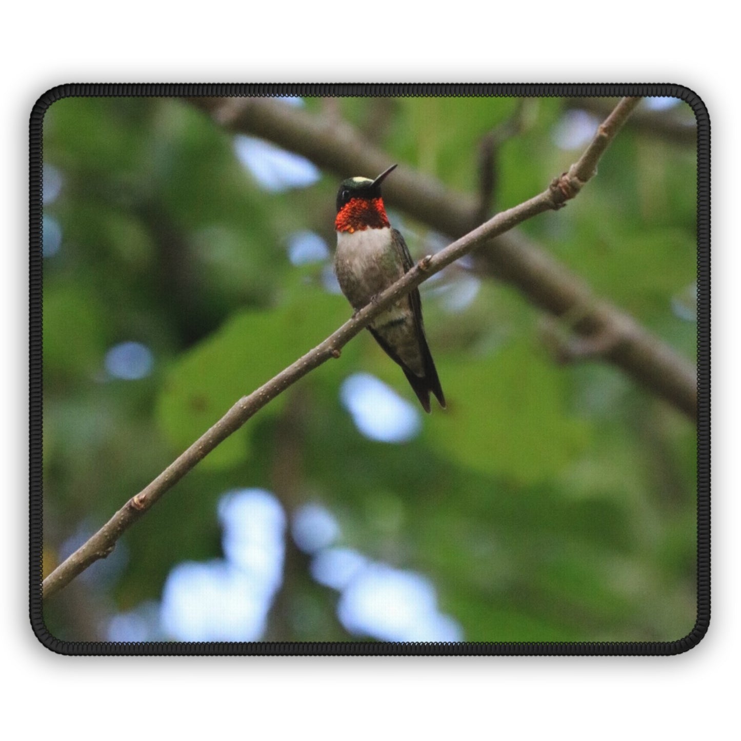 NN Gaming Mouse Pad MD Hummingbird Red (R)