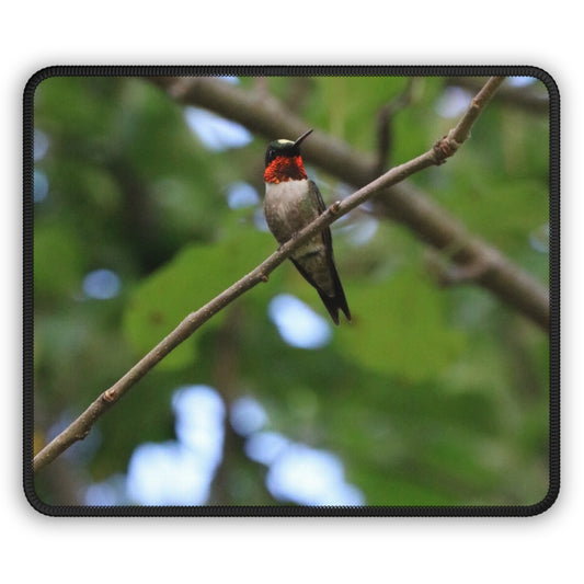 NN Gaming Mouse Pad MD Hummingbird Red (R)