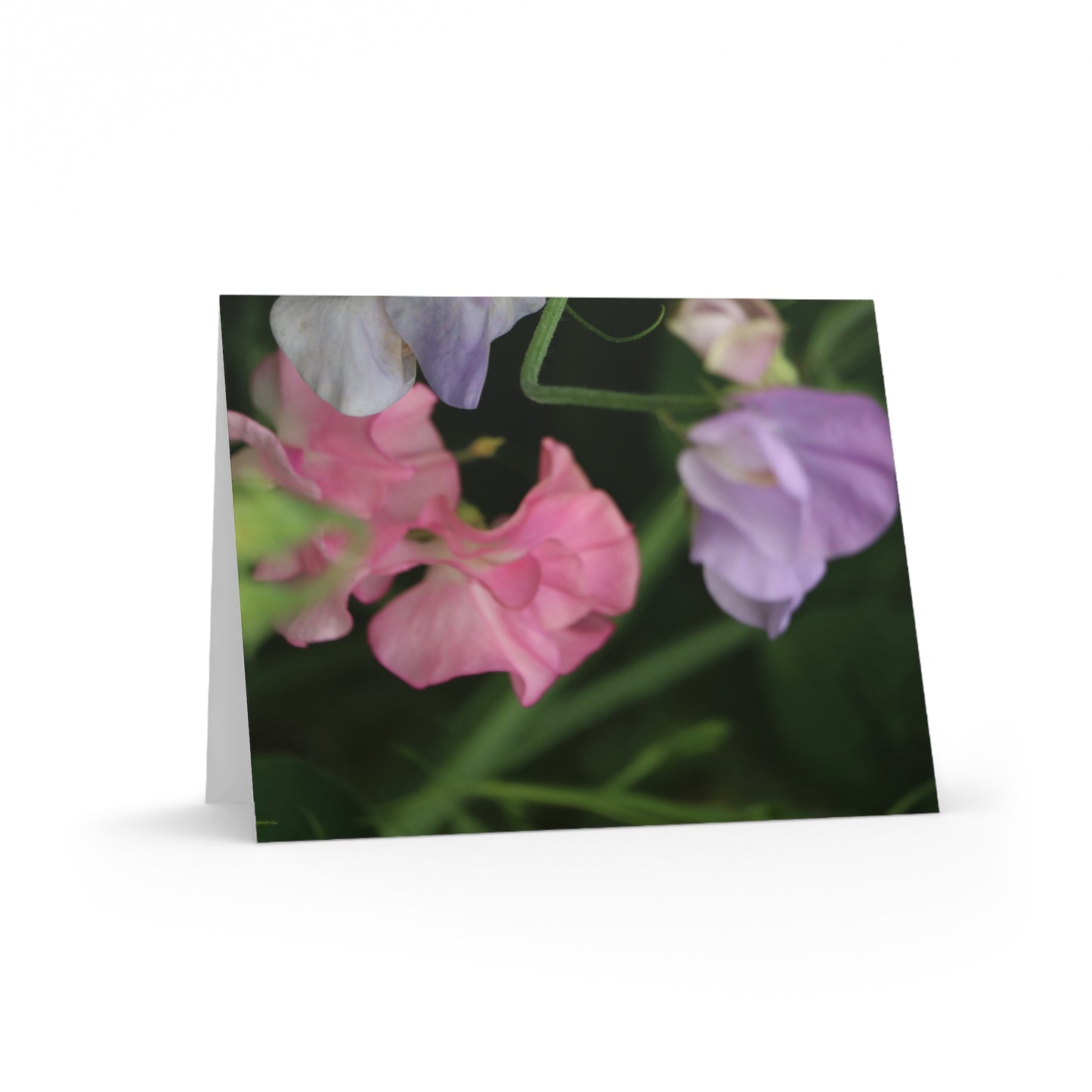 NN Greeting cards 8 pcs Pale Pinks & Lavenders