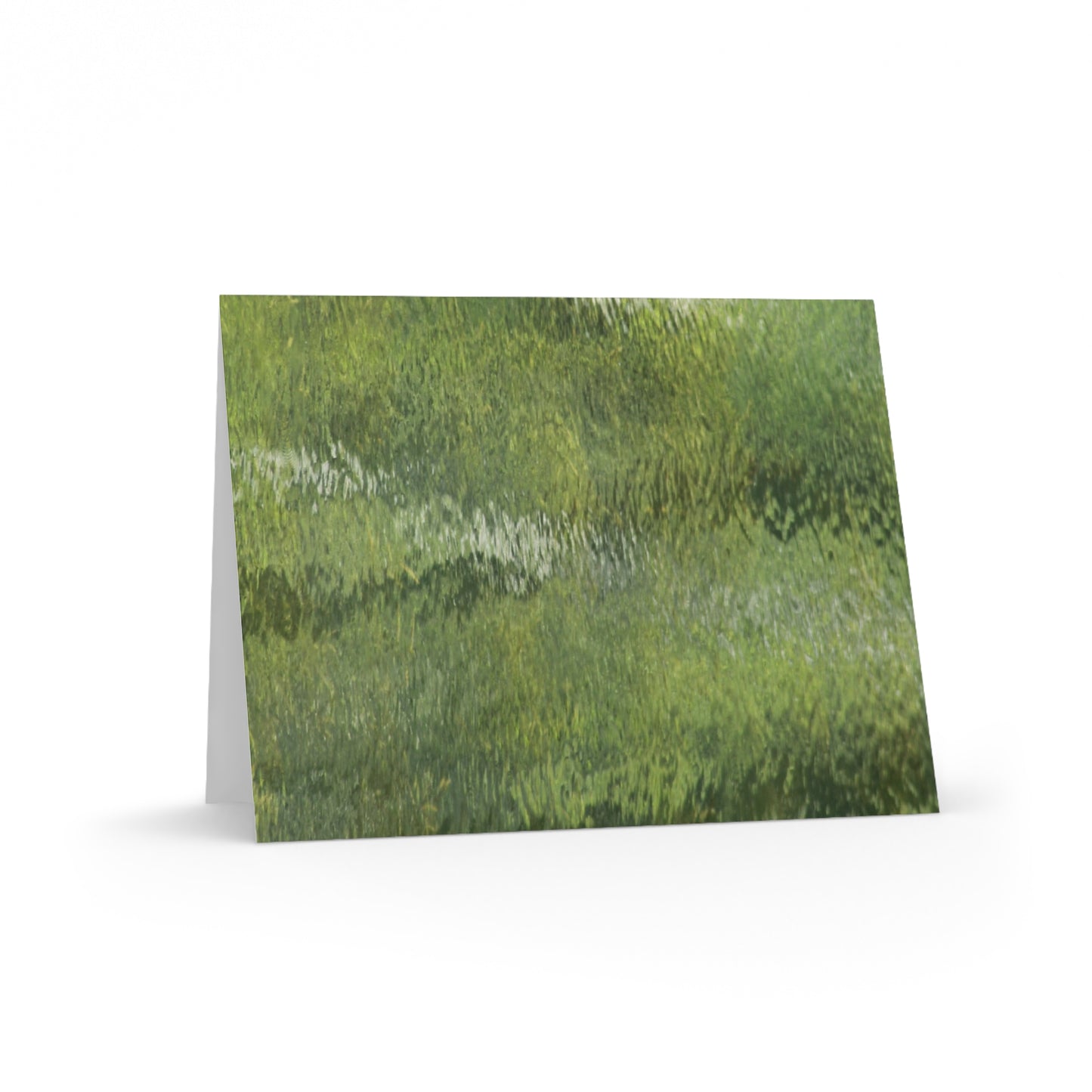 NN Greeting cards 8 pcs Trees Reflections
