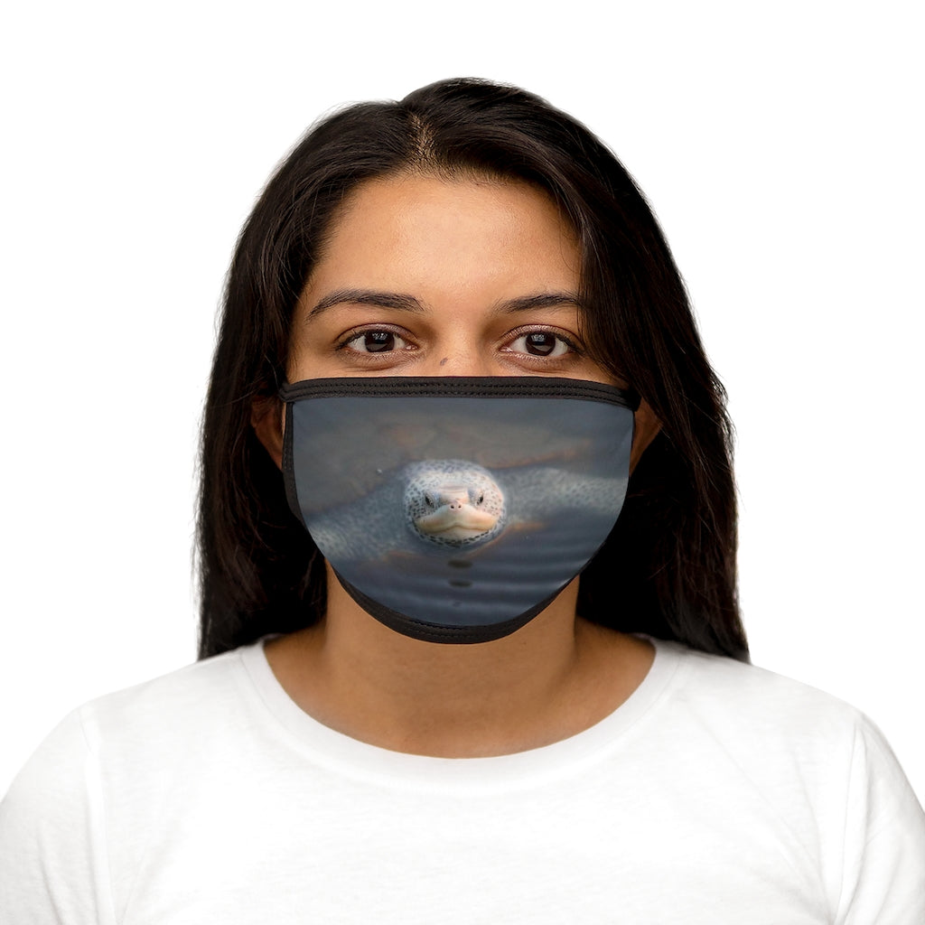 NN Mixed-Fabric Face Mask Sea Turtle