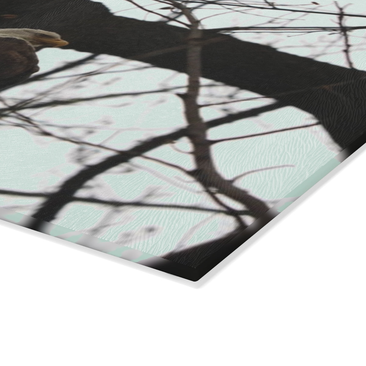 NN Glass Cutting Board Bald Eagle (CD)