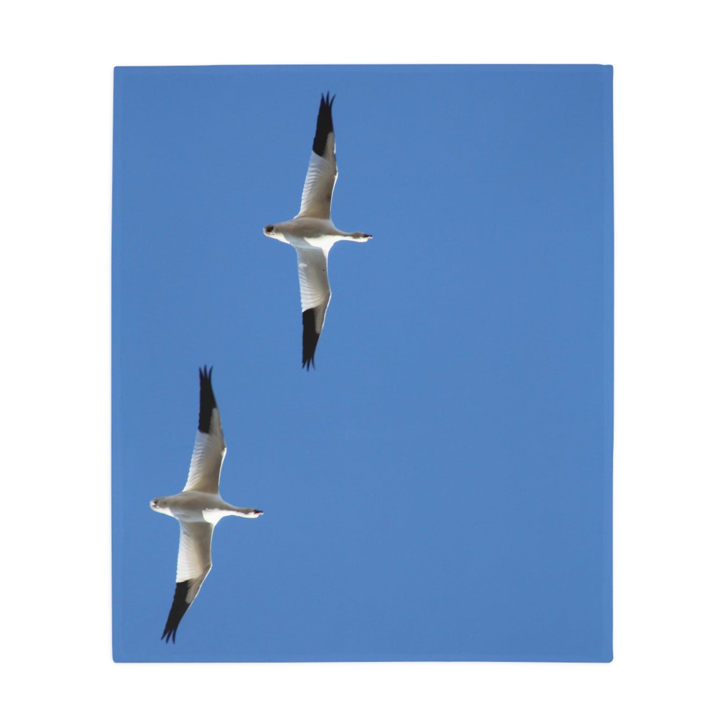 NN Plush Fleece Blanket 2 Snow Geese