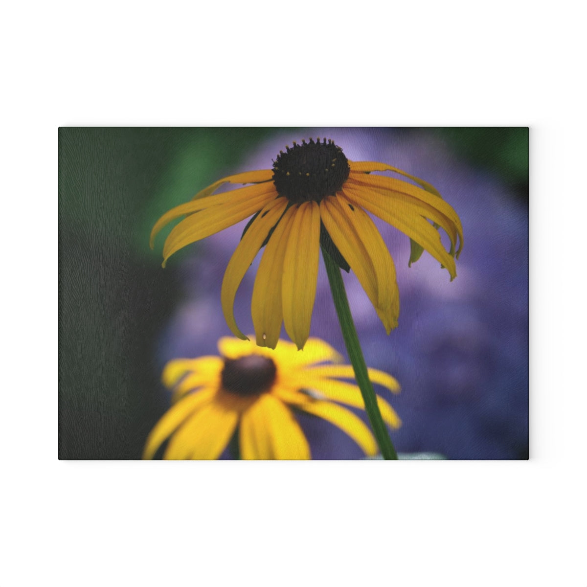 NN Glass Cutting Board 2 Black Eyed Susans & Purple