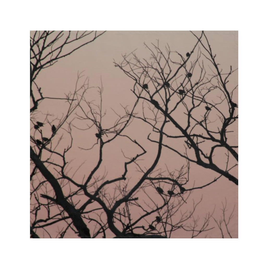 NN Napkins Pink Sky Birds