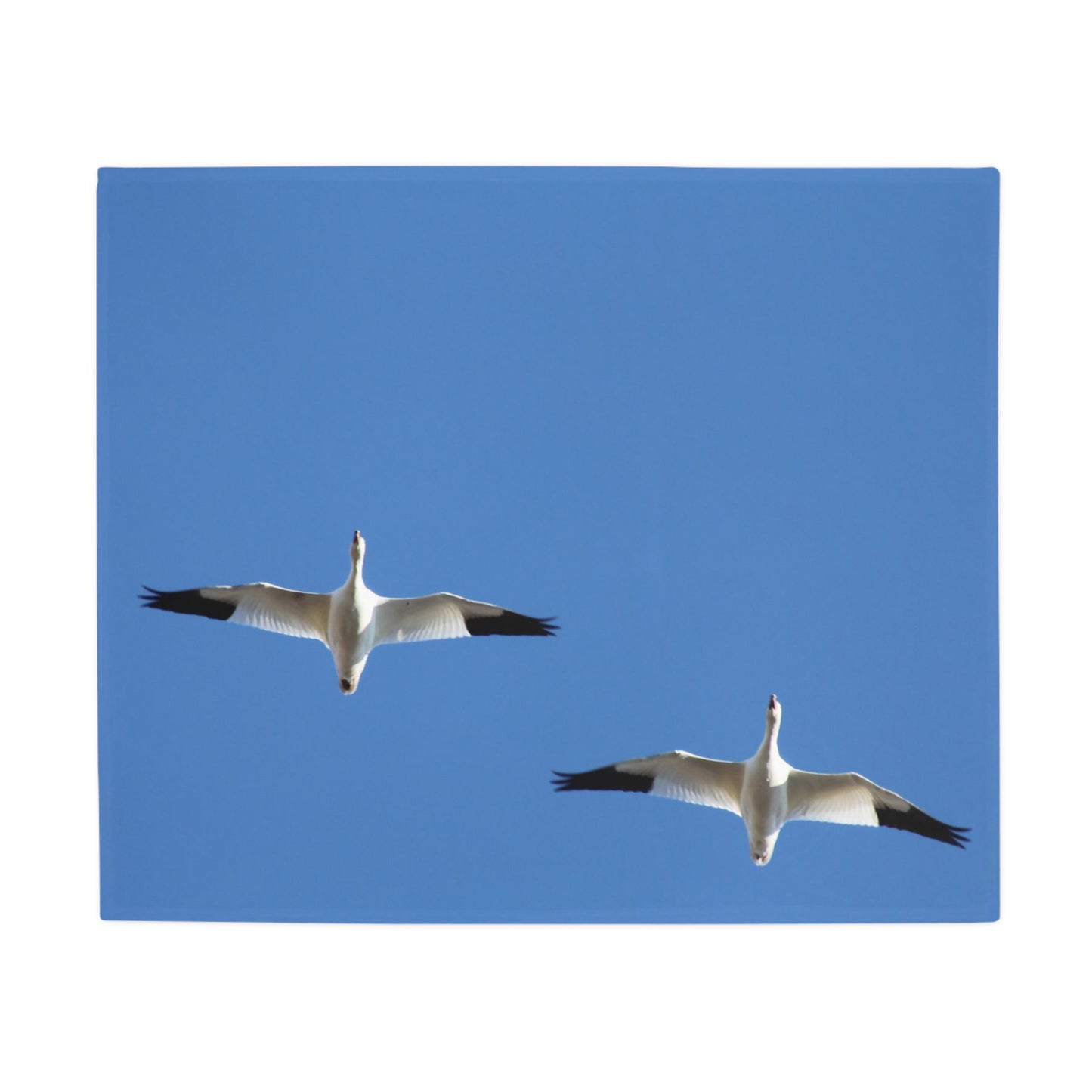 NN Plush Fleece Blanket 2 Snow Geese