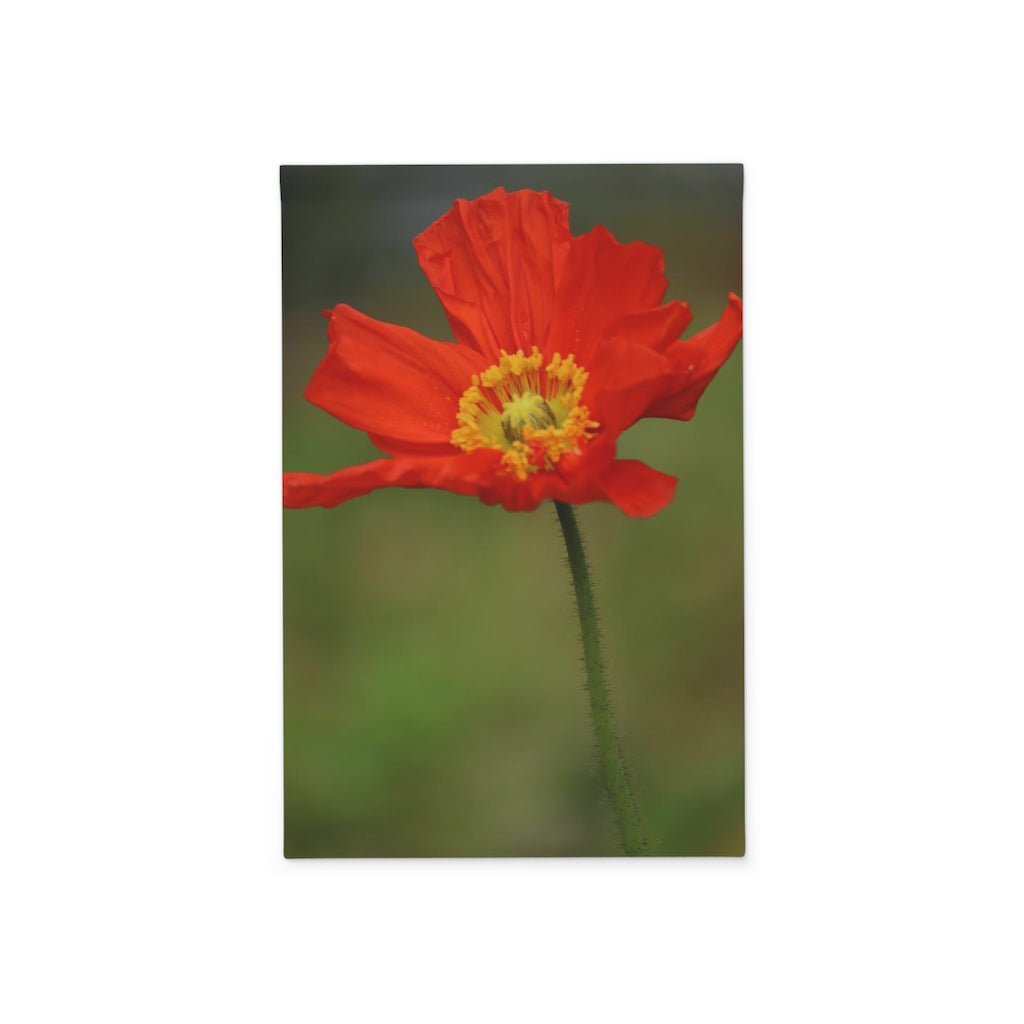 NN Garden Banner Orange Flower