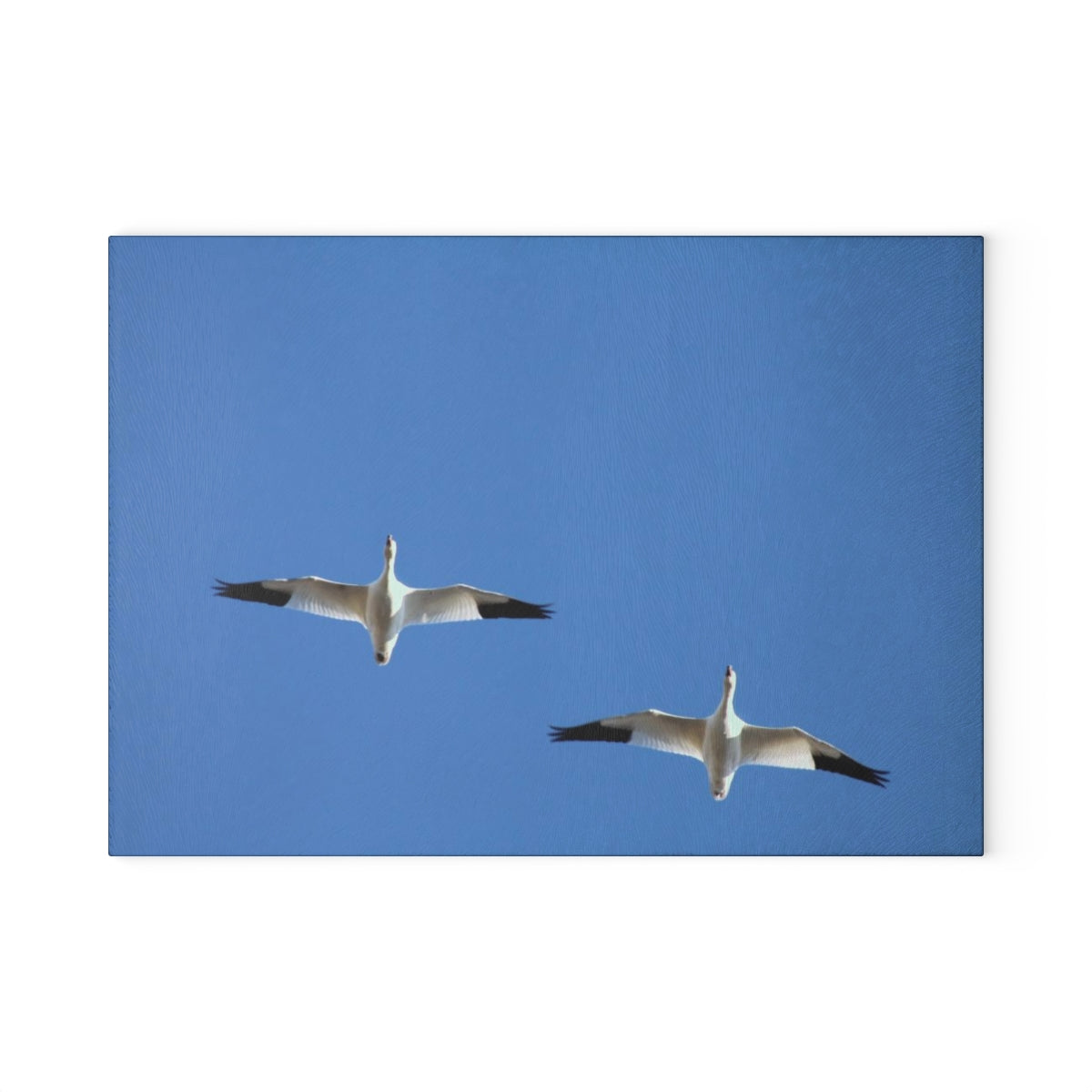 NN Glass Cutting Board 2 Snow Geese
