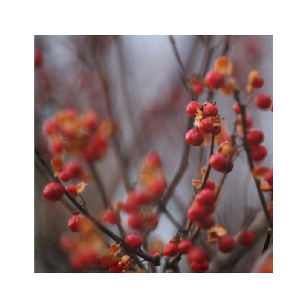 NN Napkins Red Berries & Orange