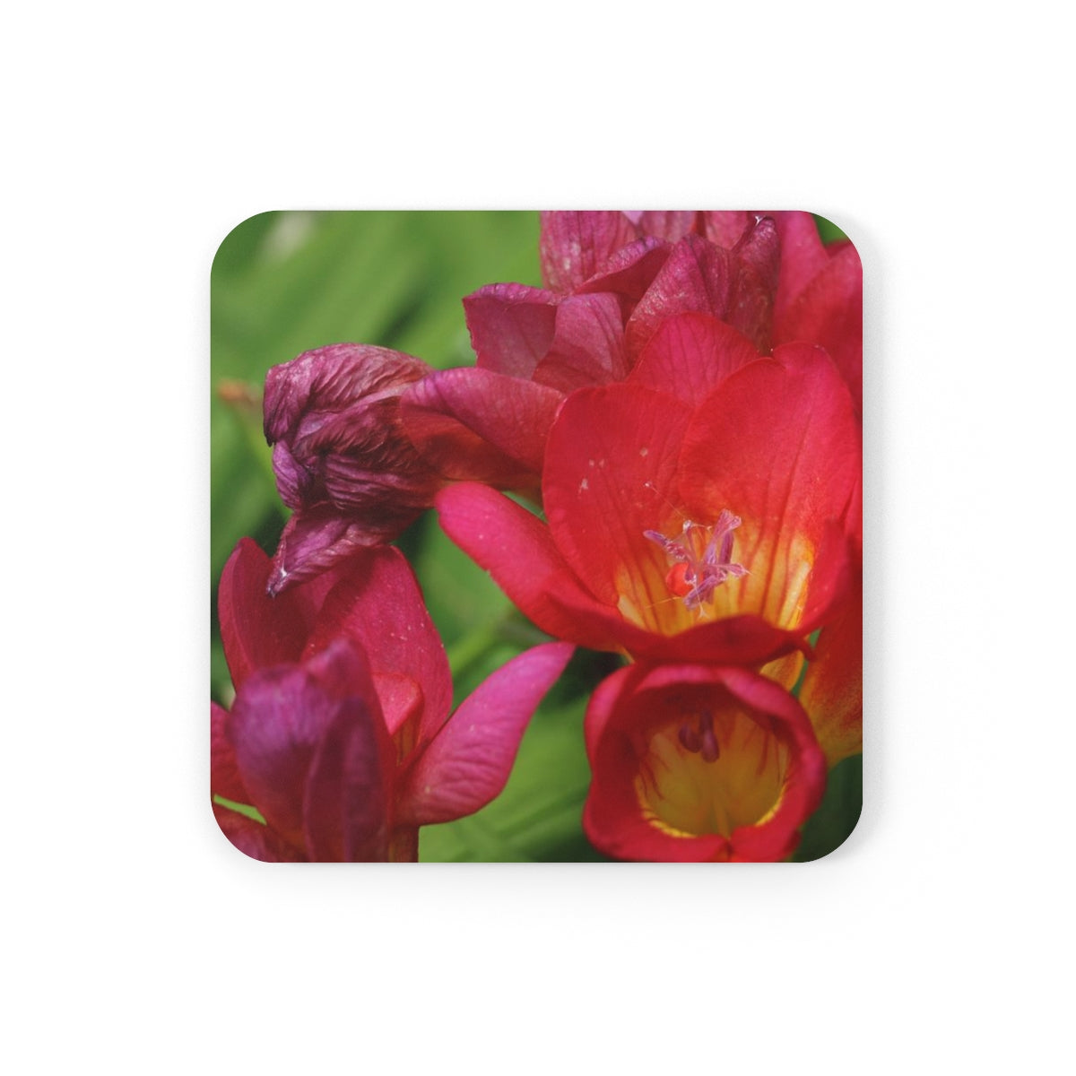 NN Cork Back Coaster Red Yellow Purple Flowers