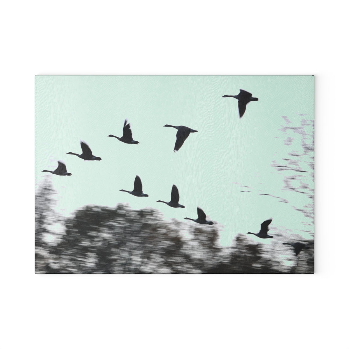 NN Glass Cutting Board Flying Flock