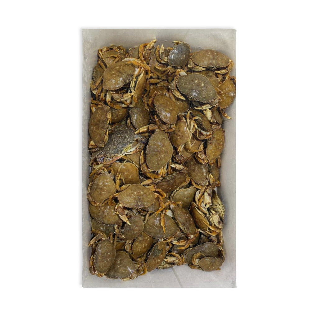 NN Fishing Hand Towel Crabs In Cooler