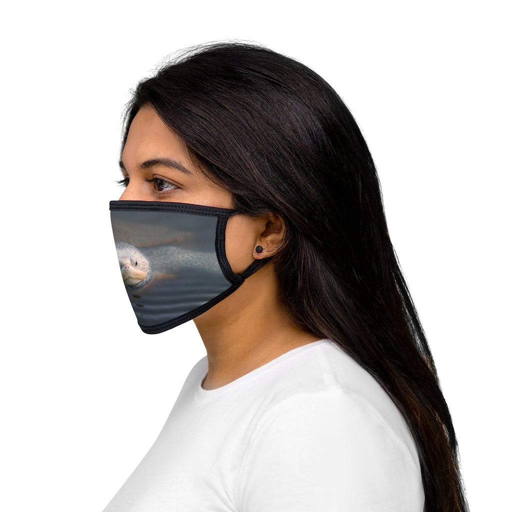 NN Mixed-Fabric Face Mask Sea Turtle