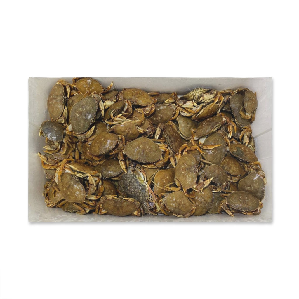 NN Fishing Hand Towel Crabs In Cooler