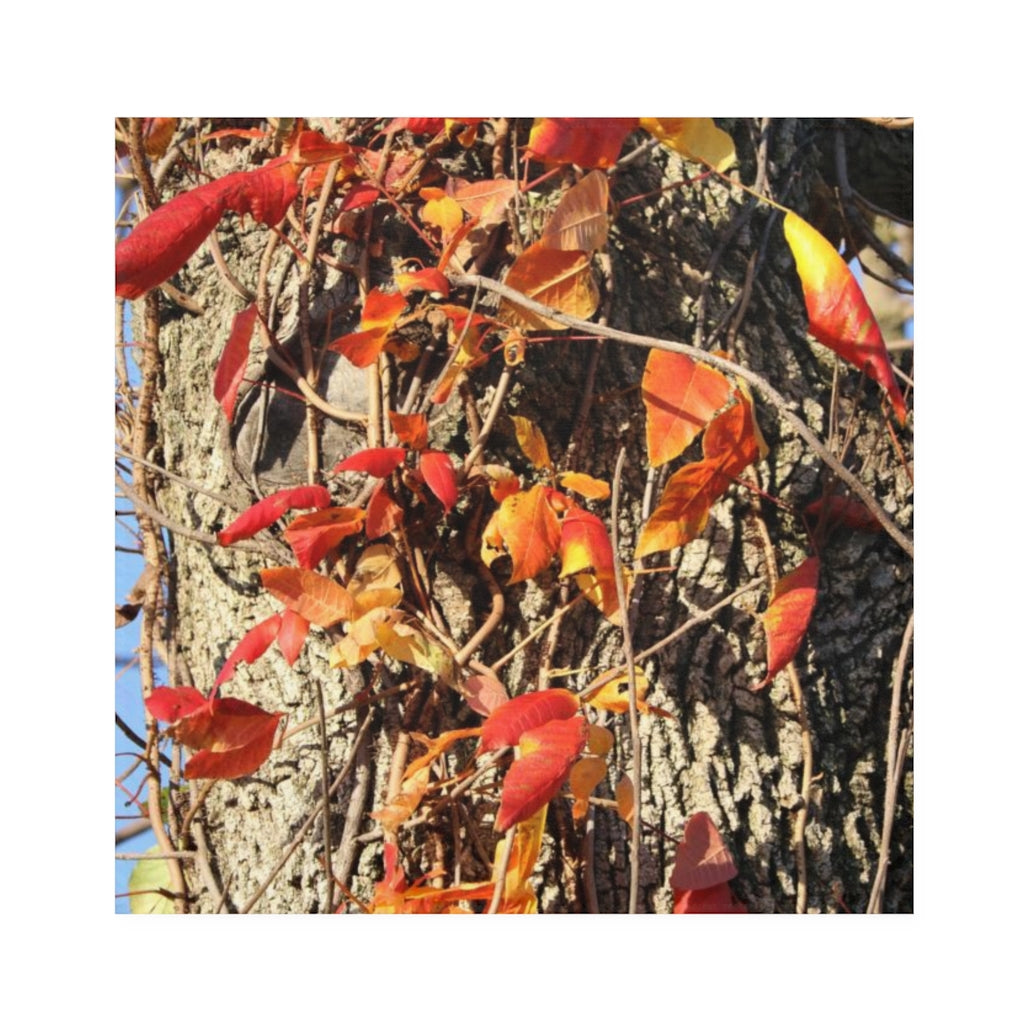 NN Napkins Fire Leaves Tree
