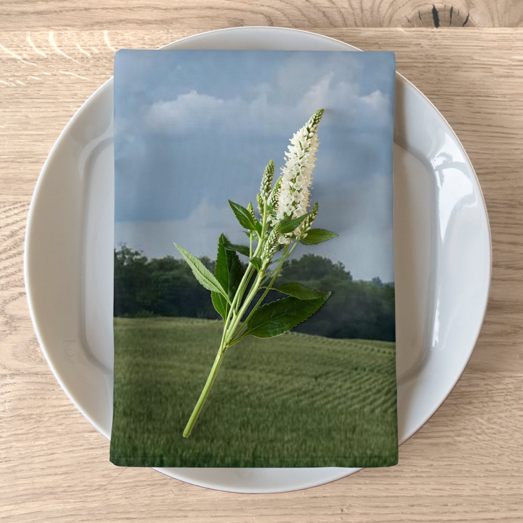 NN Napkins Cornfield & Big Clouds