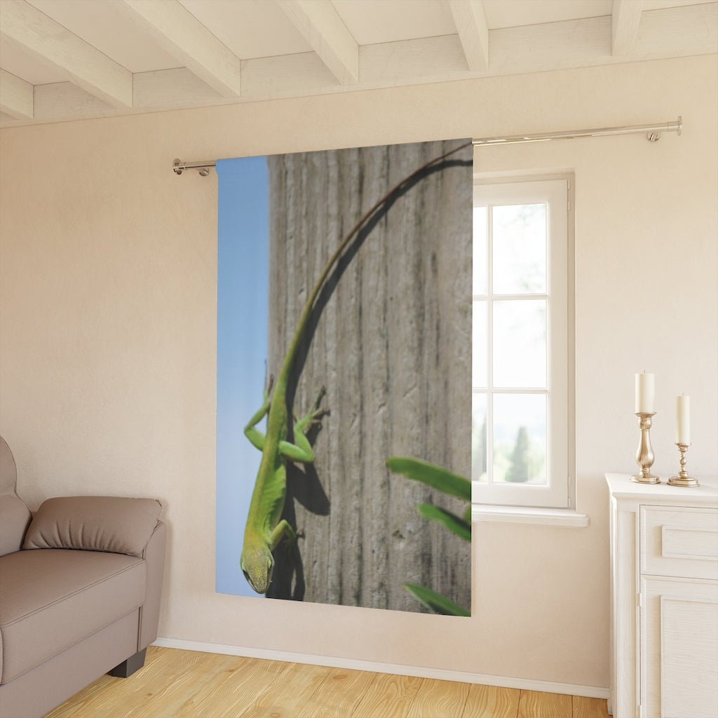 NN Window Curtains (1 Piece) NC Lizard