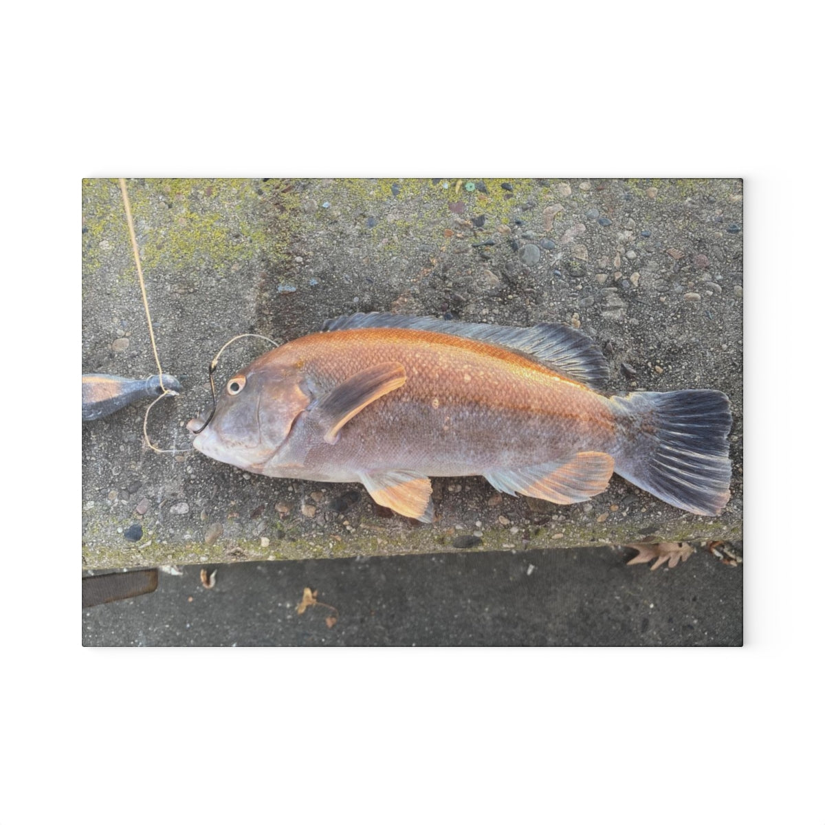 NN Glass Cutting Board Tautog