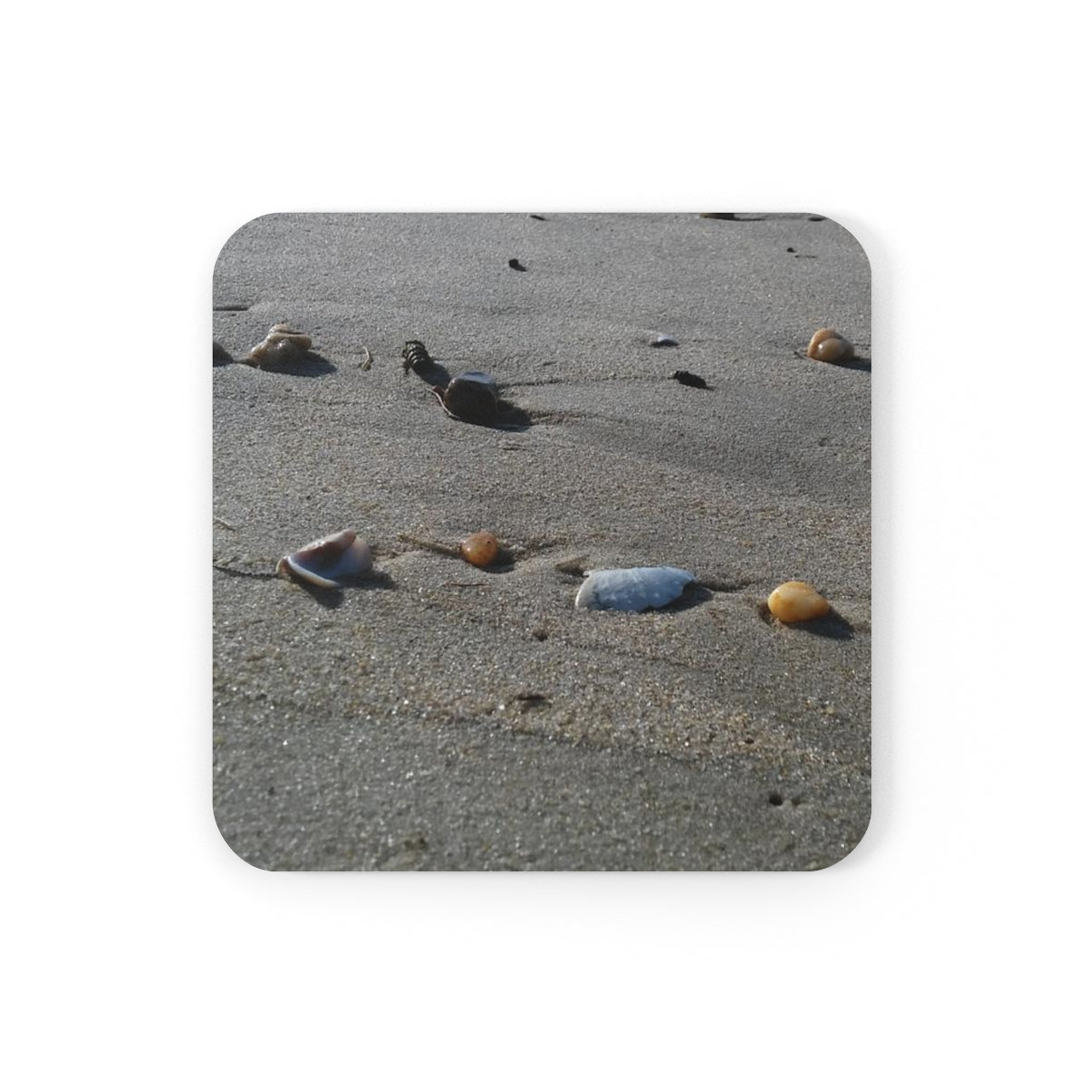 NN Cork Back Coaster Shells Across Sand
