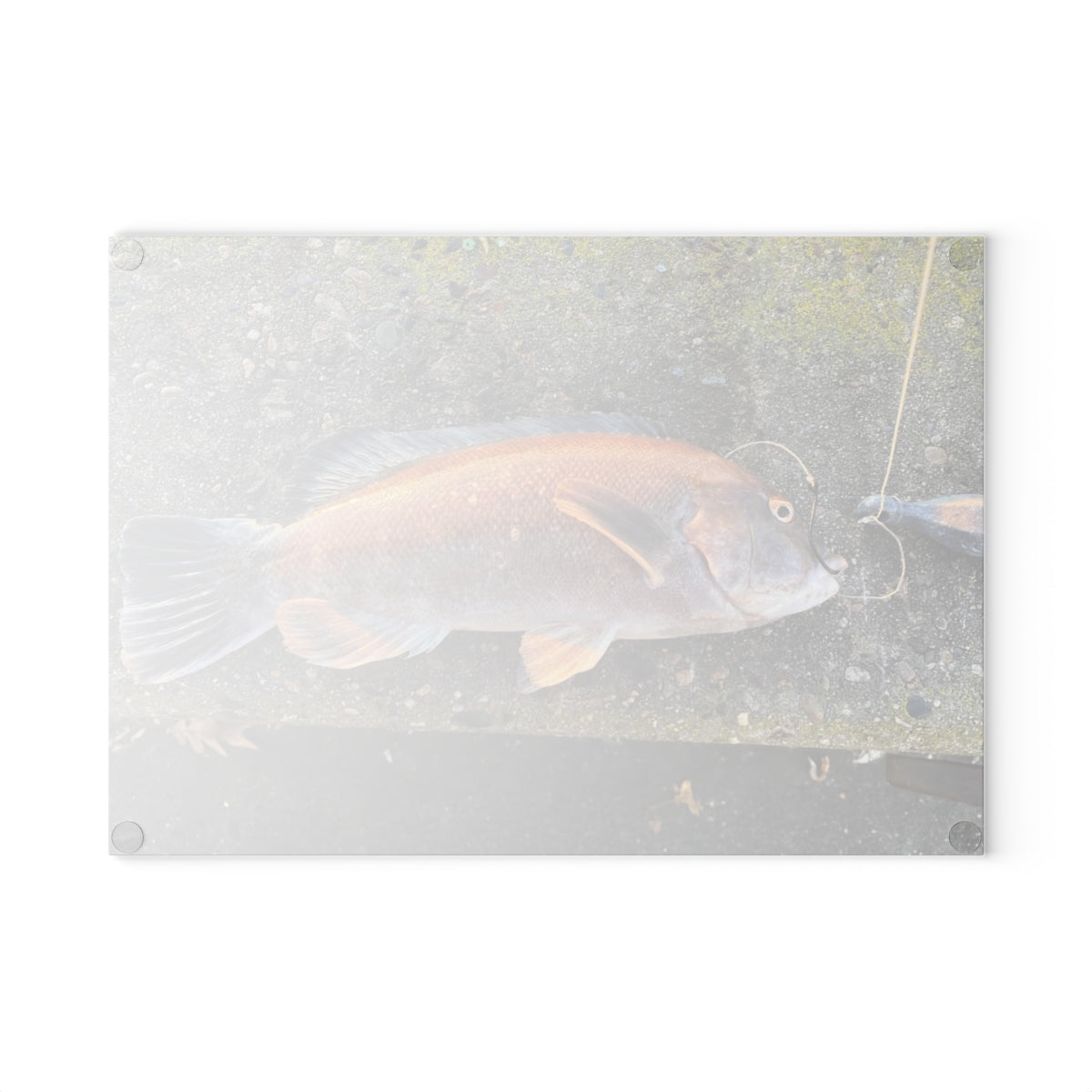 NN Glass Cutting Board Tautog