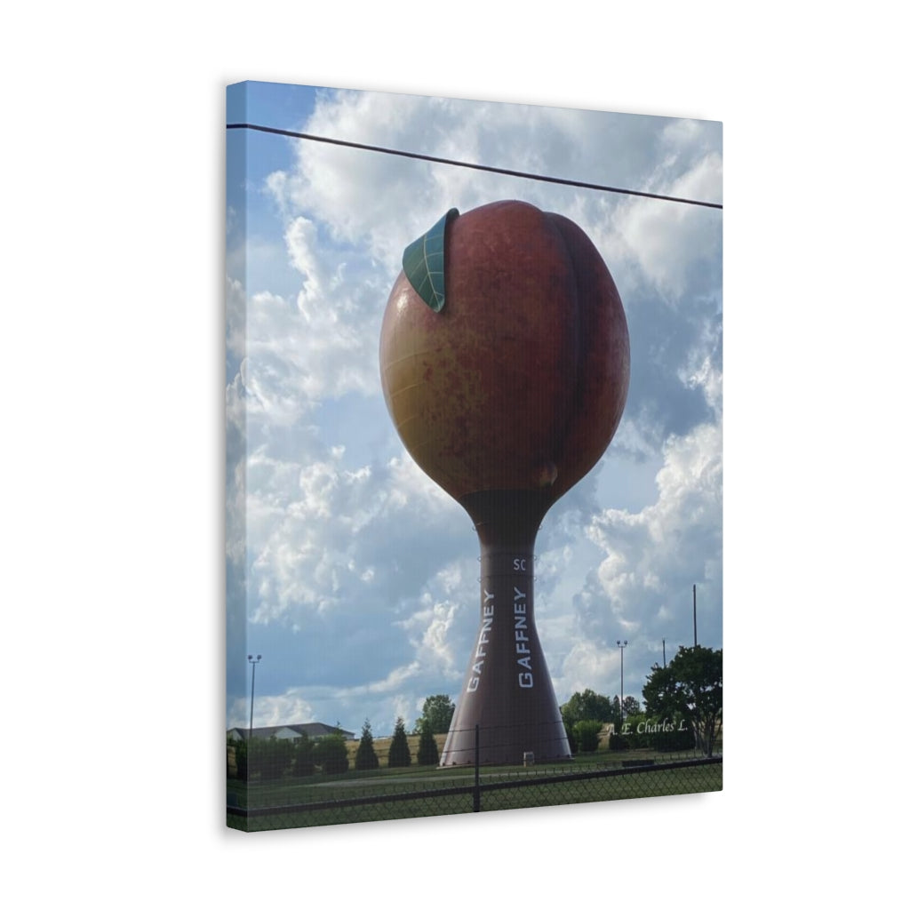 Canvas Gallery Wraps SC Peach Water Tower