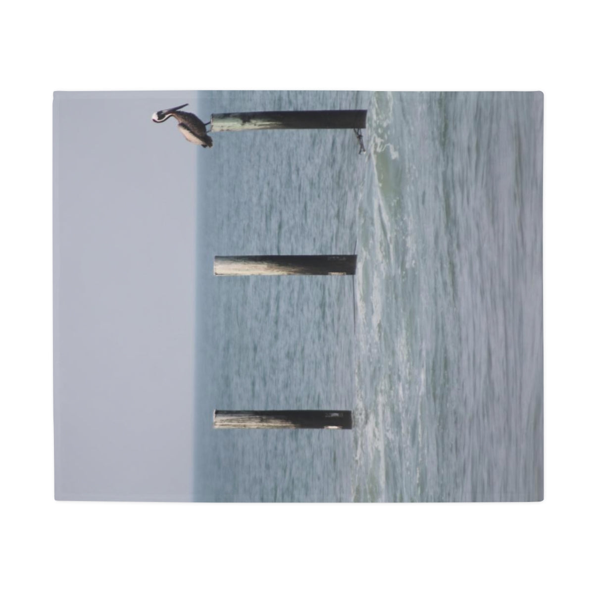 NN Plush Fleece Blanket NC Pelican