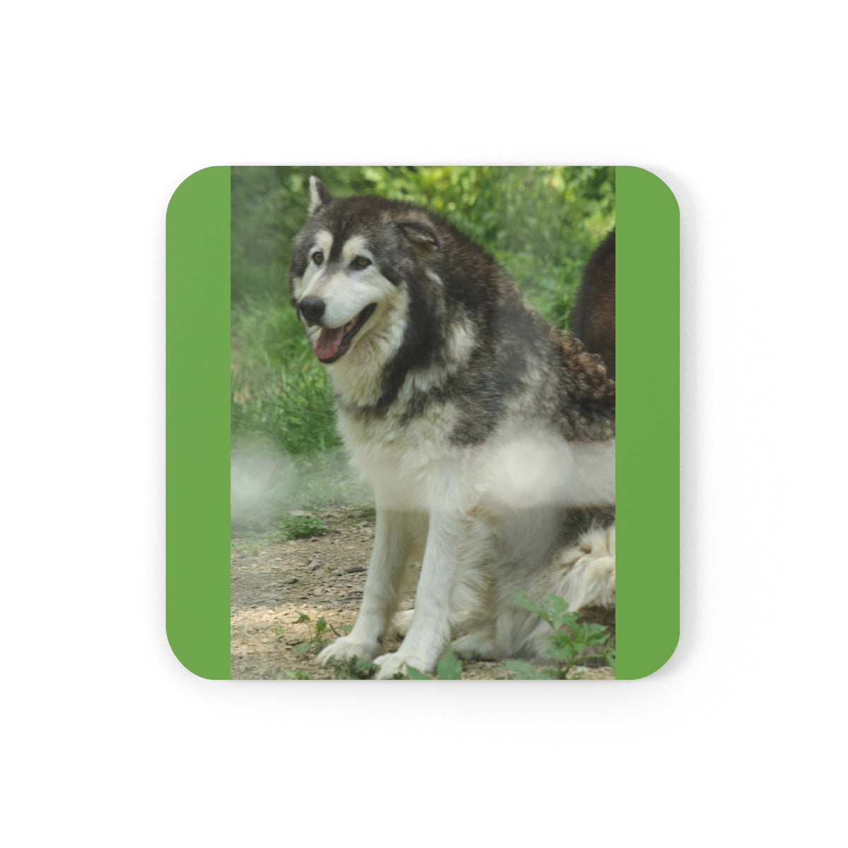 NN Cork Back Coaster Resting Wolf