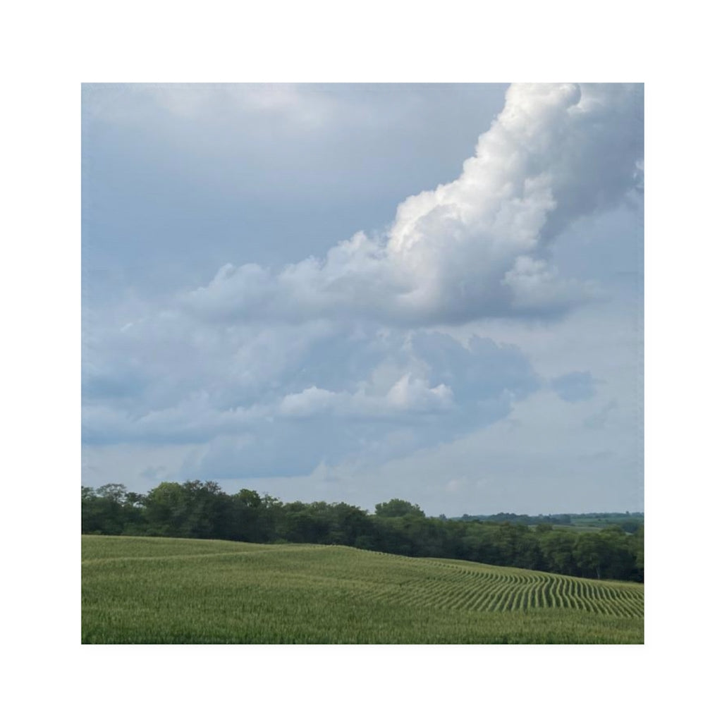 NN Napkins Cornfield & Big Clouds
