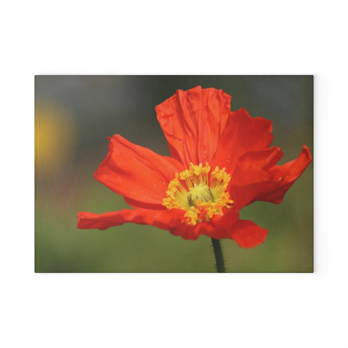 NN Glass Cutting Board Orange Flower