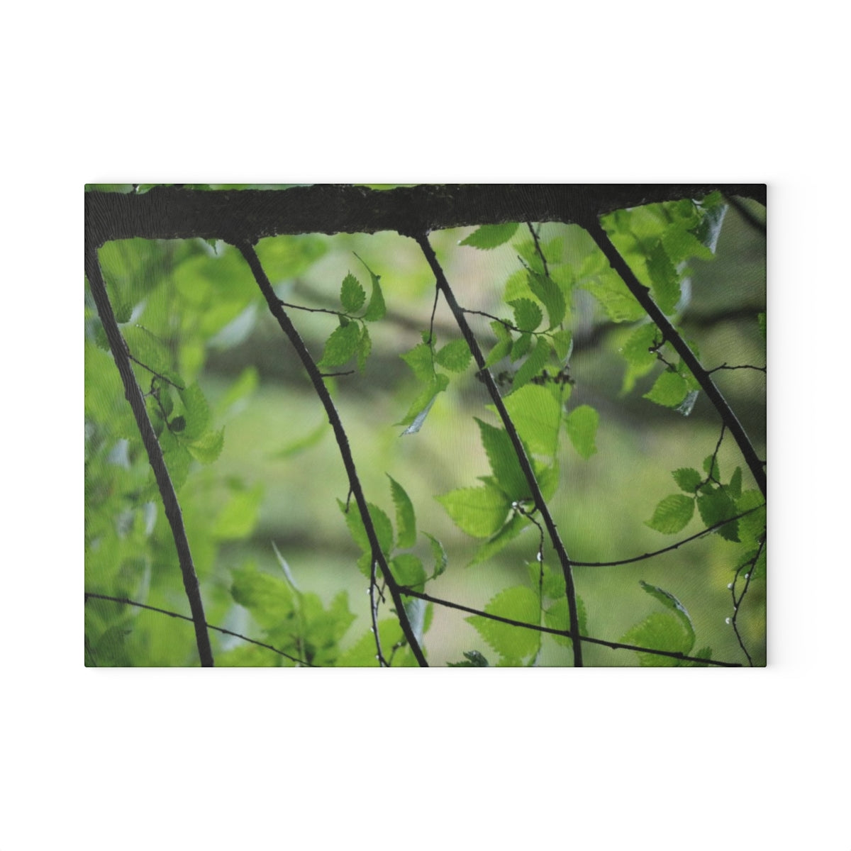 NN Glass Cutting Board Wet Little Stick Branches