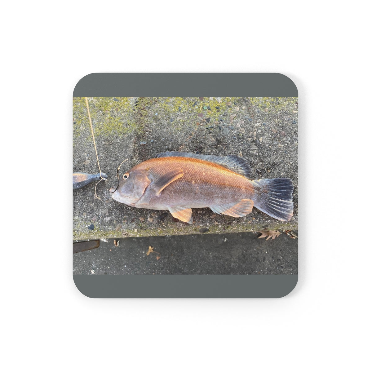 NN Cork Back Coaster Tautog