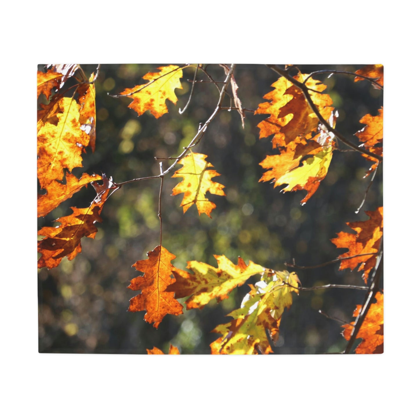 NN Plush Fleece Blanket Yellow Orange Brown Leaves