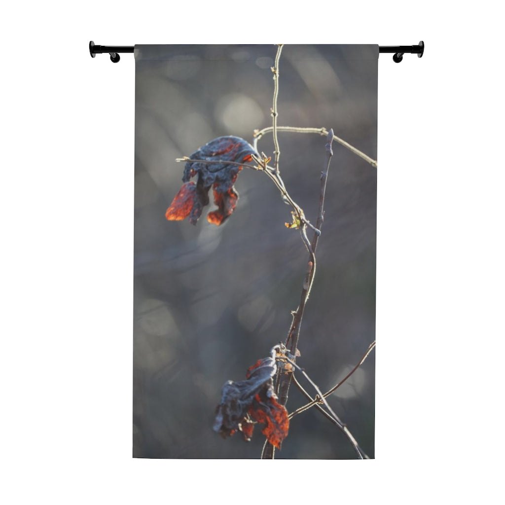 NN Window Curtains (1 Piece) Two Pretty Fall Leaves