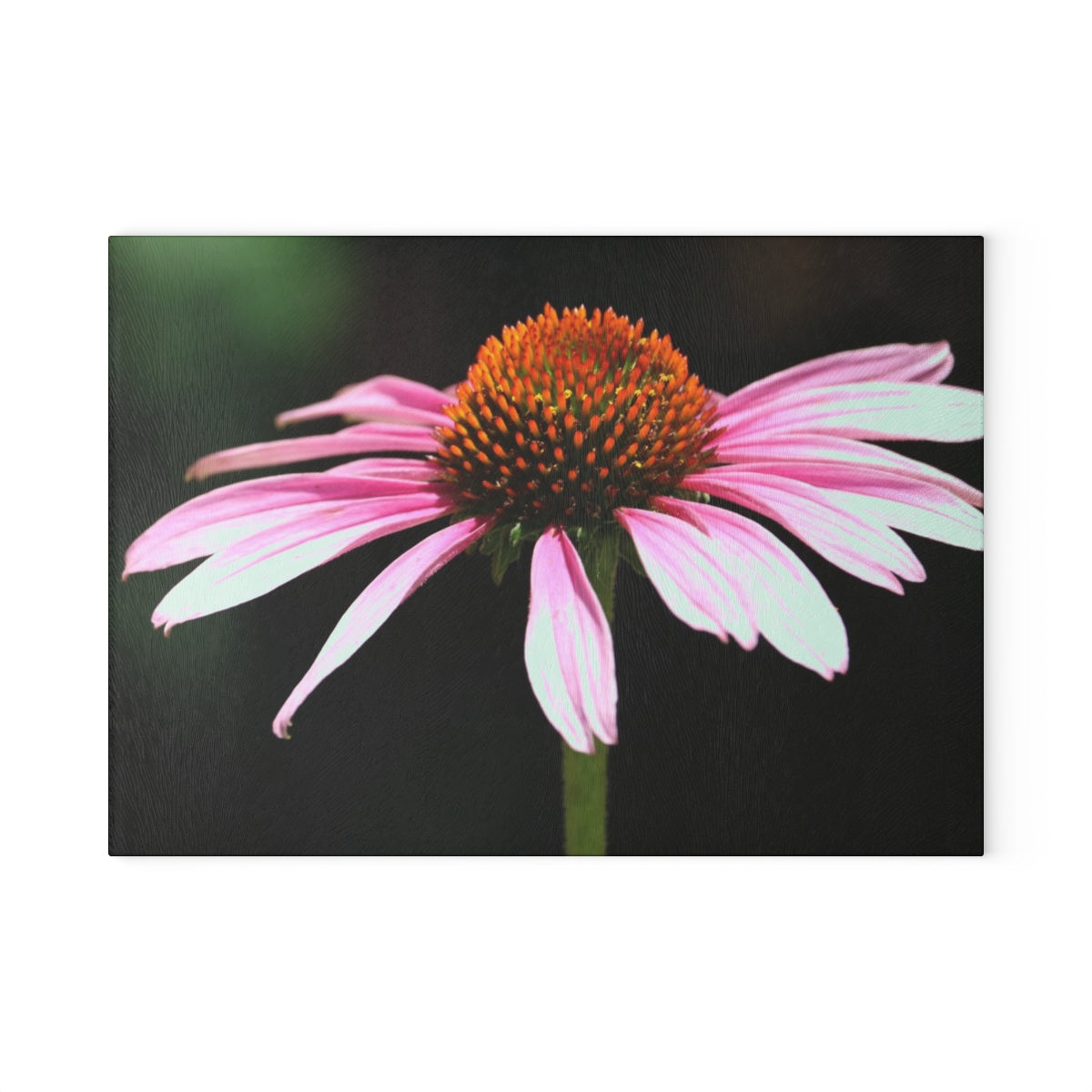 NN Glass Cutting Board Wide Pink BES