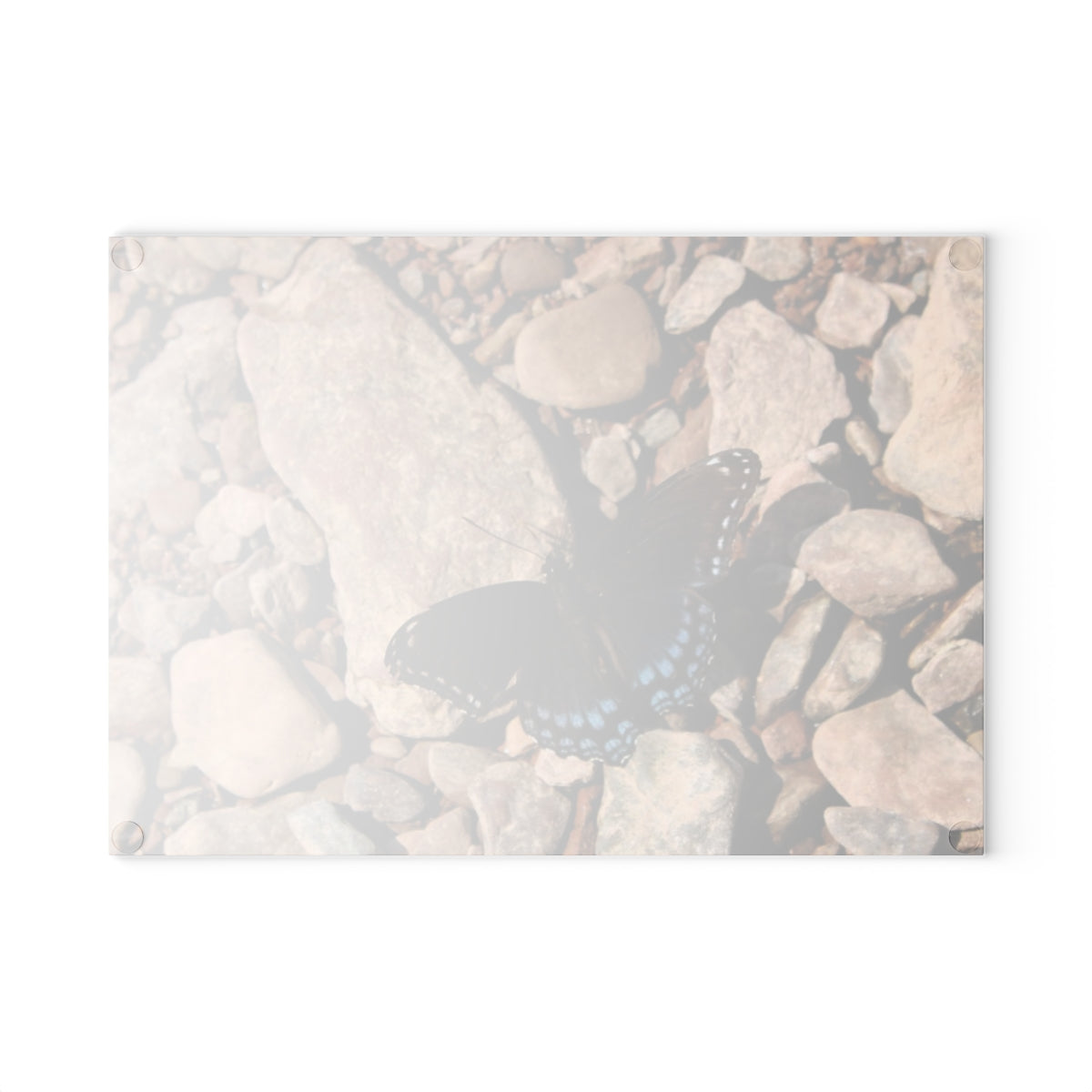 NN Glass Cutting Board Blue Butterfly On Rocks