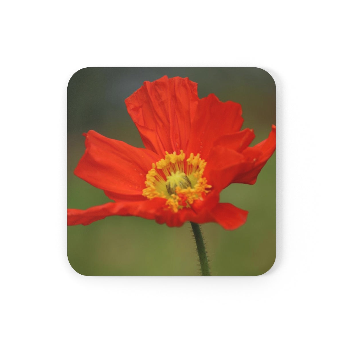 NN Cork Back Coaster Orange Flower