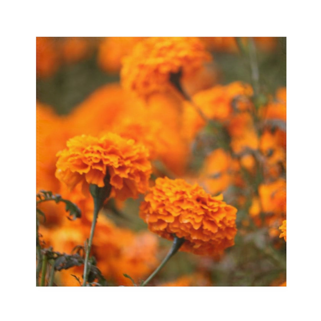 NN Napkins Orange Marigolds