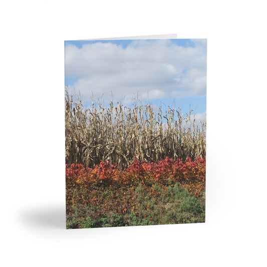 NN Greeting cards 8  pcs (S) Rainbow Farm